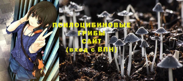 ГАЛЛЮЦИНОГЕННЫЕ ГРИБЫ Аркадак