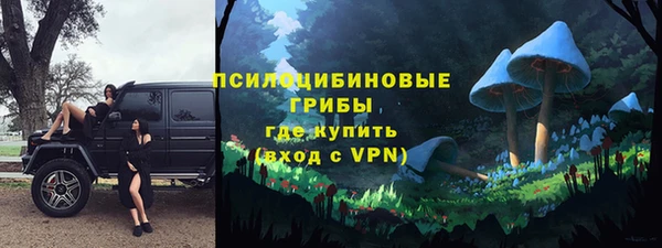 ГАЛЛЮЦИНОГЕННЫЕ ГРИБЫ Аркадак
