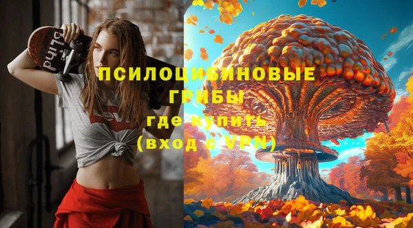 ГАЛЛЮЦИНОГЕННЫЕ ГРИБЫ Аркадак