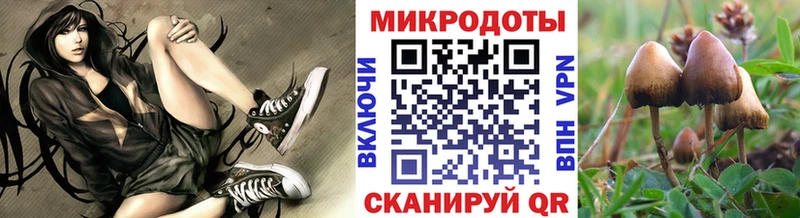 Псилоцибиновые грибы Psilocybine cubensis Лихославль