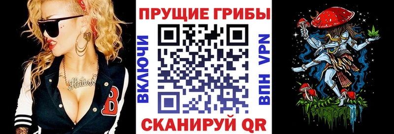 Галлюциногенные грибы прущие грибы  Лихославль 